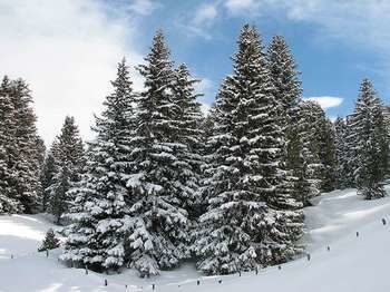Hotel Chalet Tianes