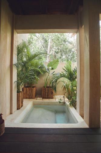 Hotel Orchid House Tulum