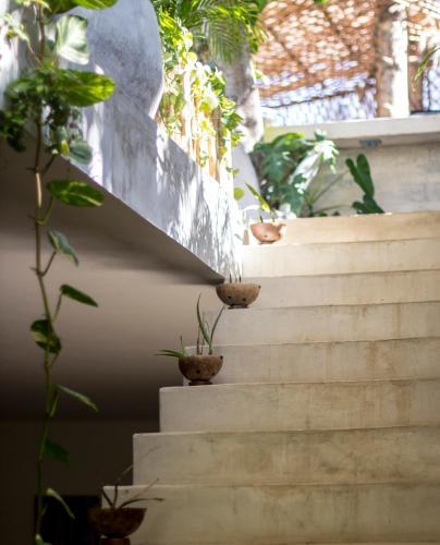 Hotel Orchid House Tulum