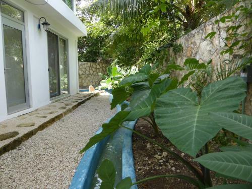 Villa Magical Tulum Jungle Home - Beautiful And Sublime