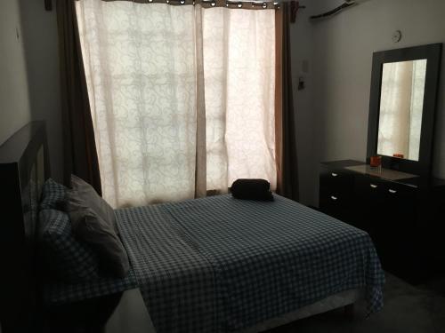 Anfibio�s House