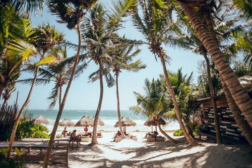 Hotel Tribal Tulum