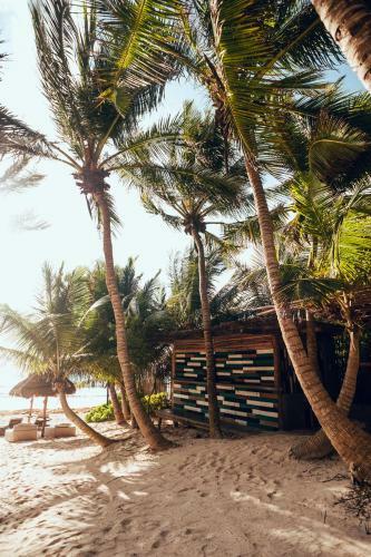 Hotel Tribal Tulum