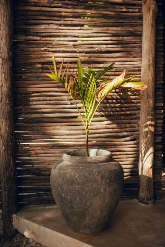 Hotel Tribal Tulum