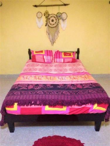 Zaci Cozy Home