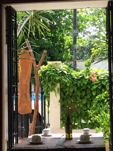 La Casa Natural