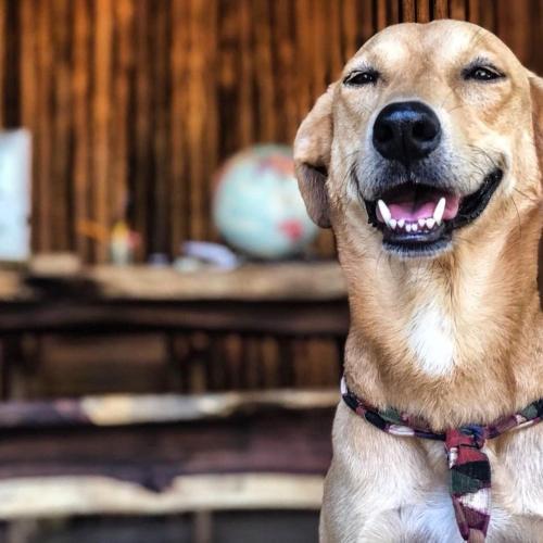 Hotel Descalzo