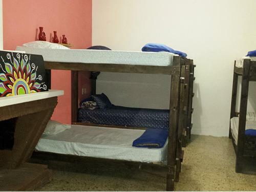 Hostel 53