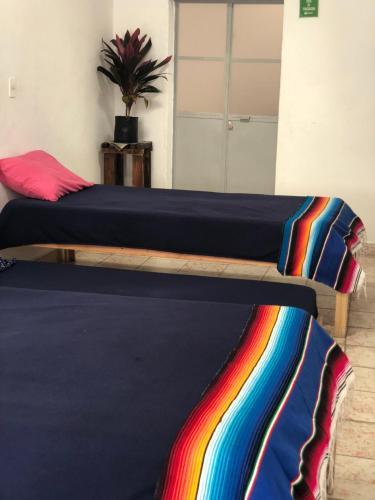 Hostal El Besito Hostel Sma