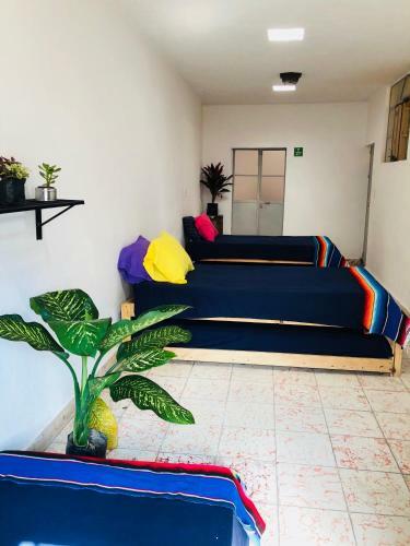 Hostal El Besito Hostel Sma