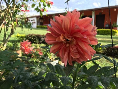 Agroturismo Hospedaje Rural La Caba�a