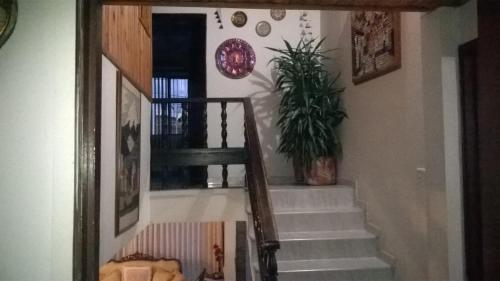Sue�os Del Cafe