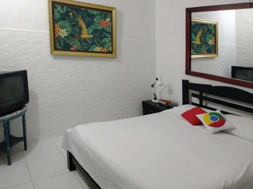 Bed & Breakfast Bacano Hostel