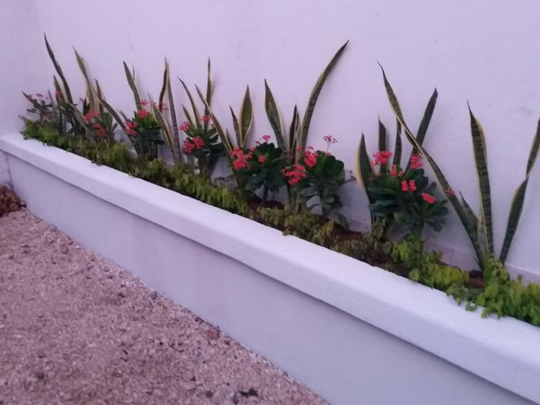 Hotel Don To�o