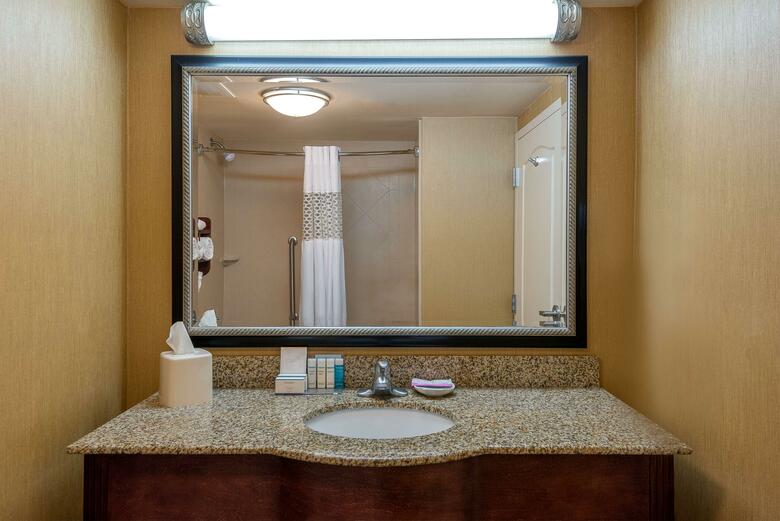Hotel Hampton Inn Suites Florence-north-i-95