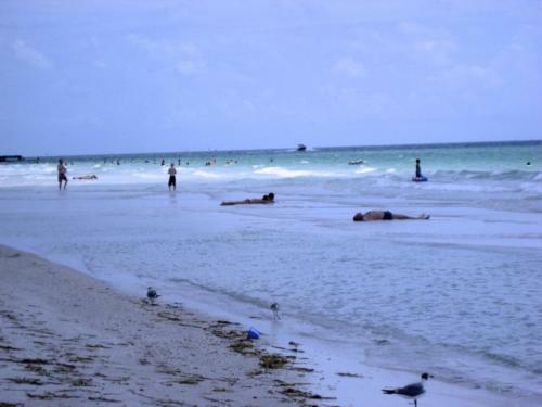 Apartamento The Anna Maria Island Beach Sands 101