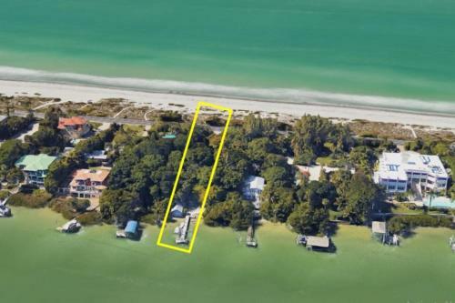 Captiva Sand Dollar