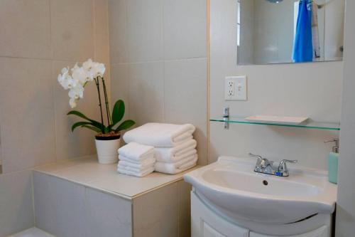 Apartamento A One-way Ticket To Comforttown