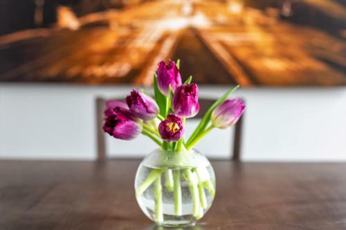 Apartamento Stay Alfred On 12th Street