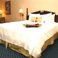 Hotel Hampton Inn Tampa-rocky Point