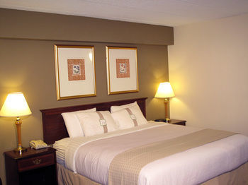 Hotel Holiday Inn Rolling Mdws Schaumburg Area