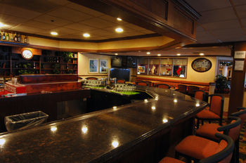 Hotel Holiday Inn Rolling Mdws Schaumburg Area