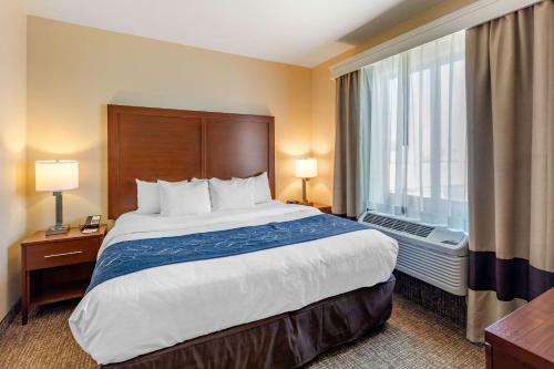 Hotel Comfort Suites Near Denver Downtown