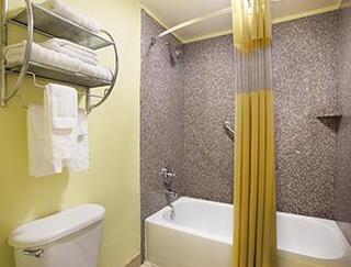 All Suites Hotel Near Usf