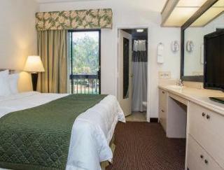 All Suites Hotel Near Usf