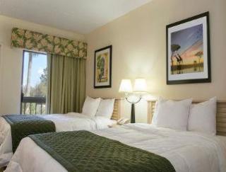 All Suites Hotel Near Usf