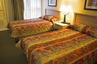 All Suites Hotel Near Usf