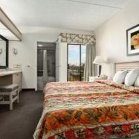 All Suites Hotel Near Usf