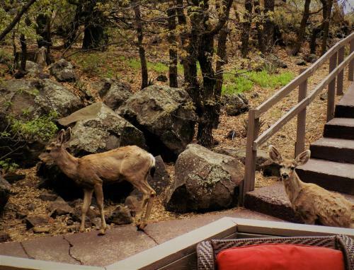 Location! Nature Lovers Getaway - Close To Historic Downtown