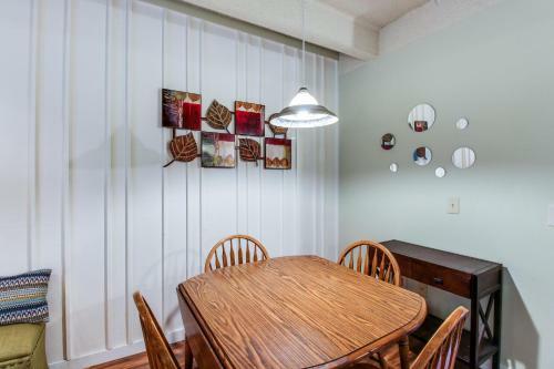 Frisco Mountain Retreat