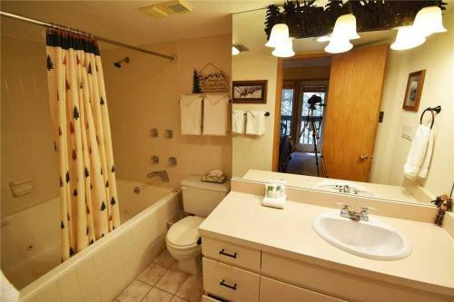 Cross Creek 308 (condo)
