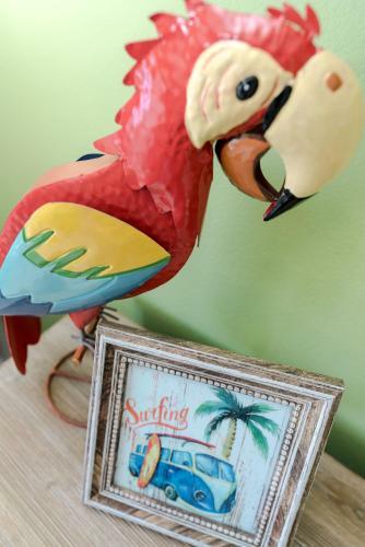 Apartamento #204 - Turtle-y Awesome