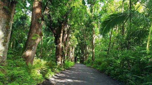 Maluhia Kahakai