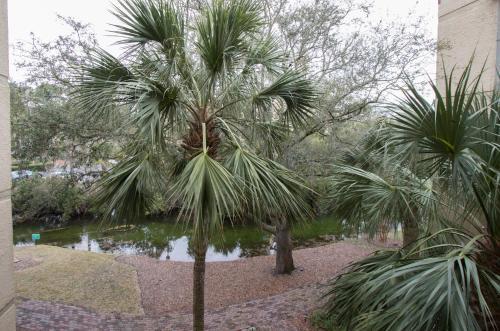 Apartamento Xanadu #wxa0b9 Condo