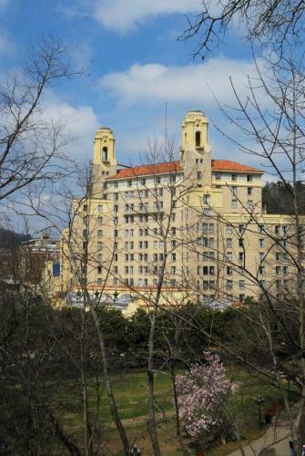 Arlington Resort Hotel & Spa
