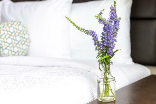 Apartamento Stay Alfred At 1711 Caroline