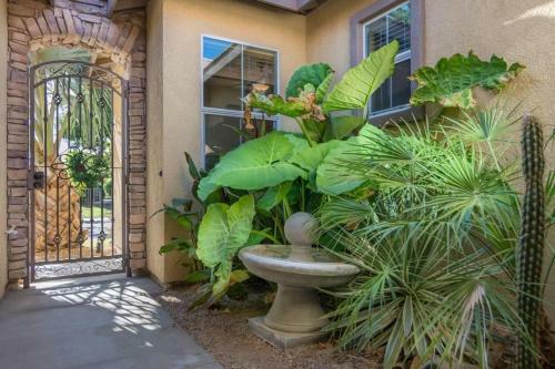 Fairway At Indian Palms