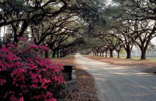 216 C Shipwatch