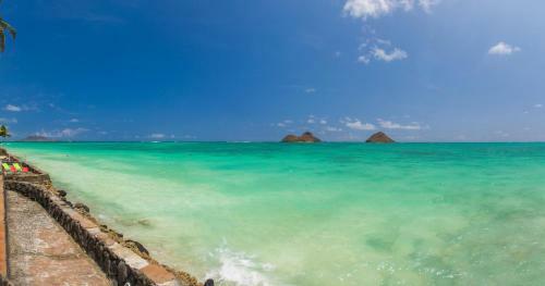 Lanikai Oceanside