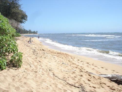 Apartamentos Islander On The Beach Unit 256
