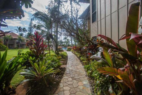 Apartamento (ln121) Lae Nani, 1 Bedroom