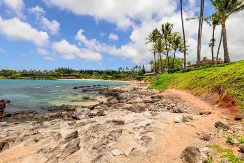 Apartamento Napili Point C-12