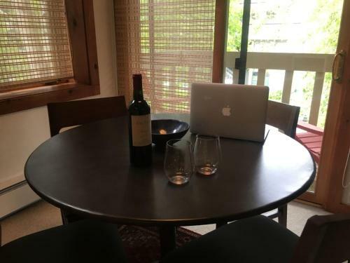 Sun Valley Condo 102