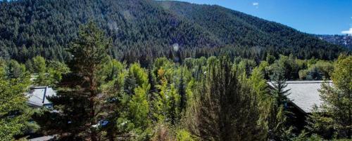 Sawtooth #34