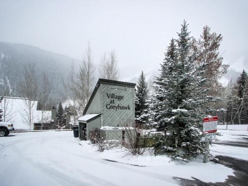 Greyhawk At The Ski Lifts -the Artisan