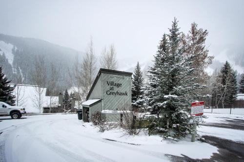 Greyhawk At The Ski Lifts -the Artisan